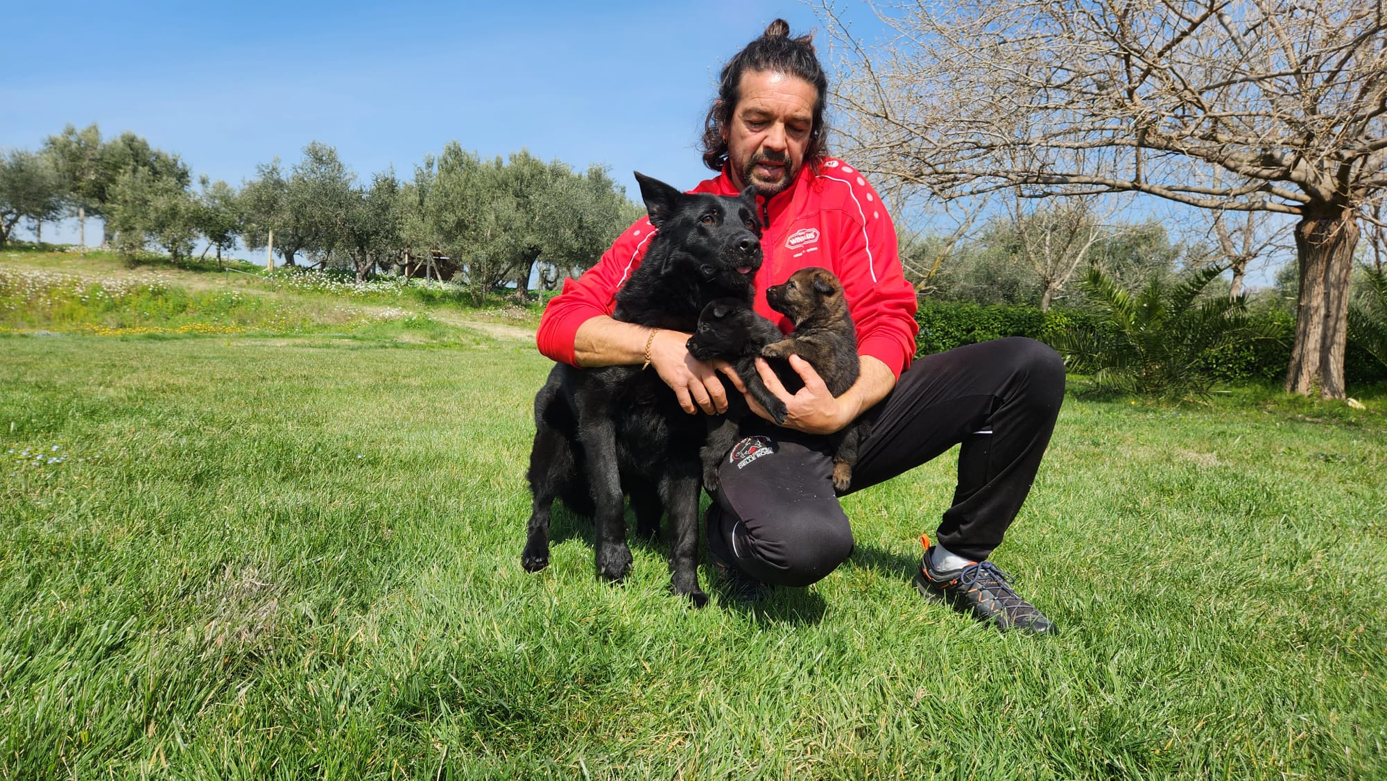 cuccioli pastore tedesco da lavoro - Allevamento Dei Lupi di Mare - Roberto-frattaroli-addestratore