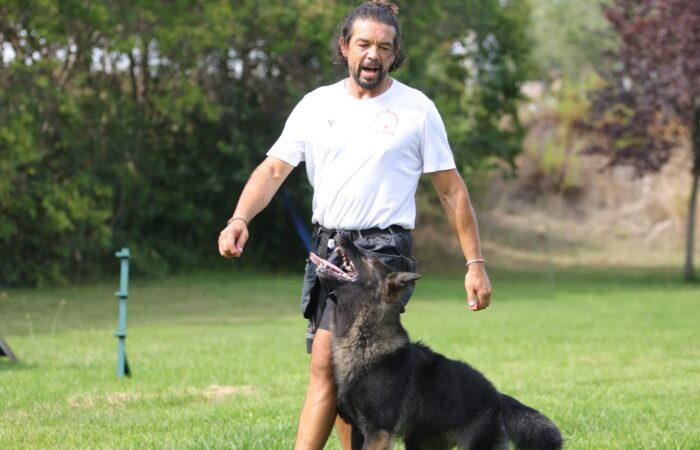 Addestramento dei Lupi di Mare