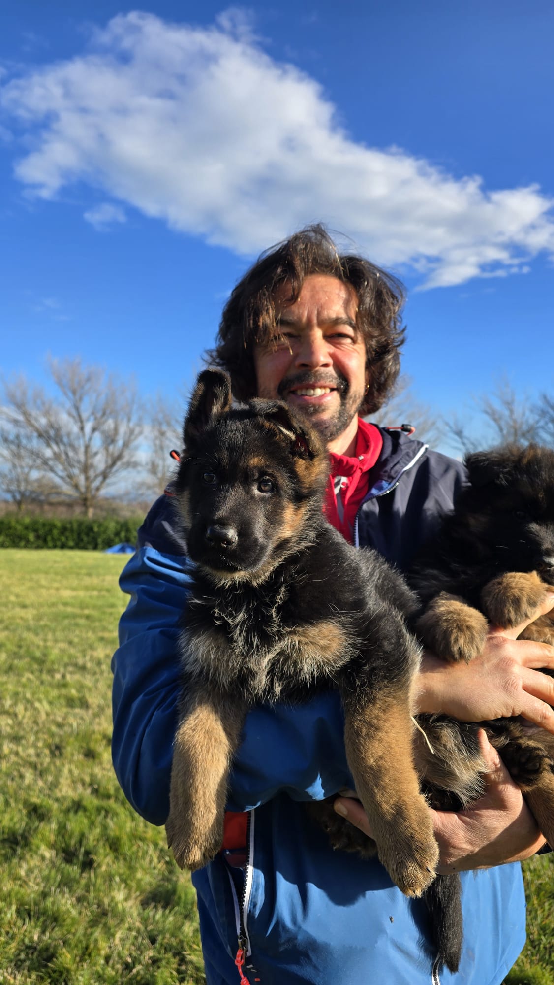 Nuova cucciolata pastore tedesco Allevamento Dei Lupi di Mare