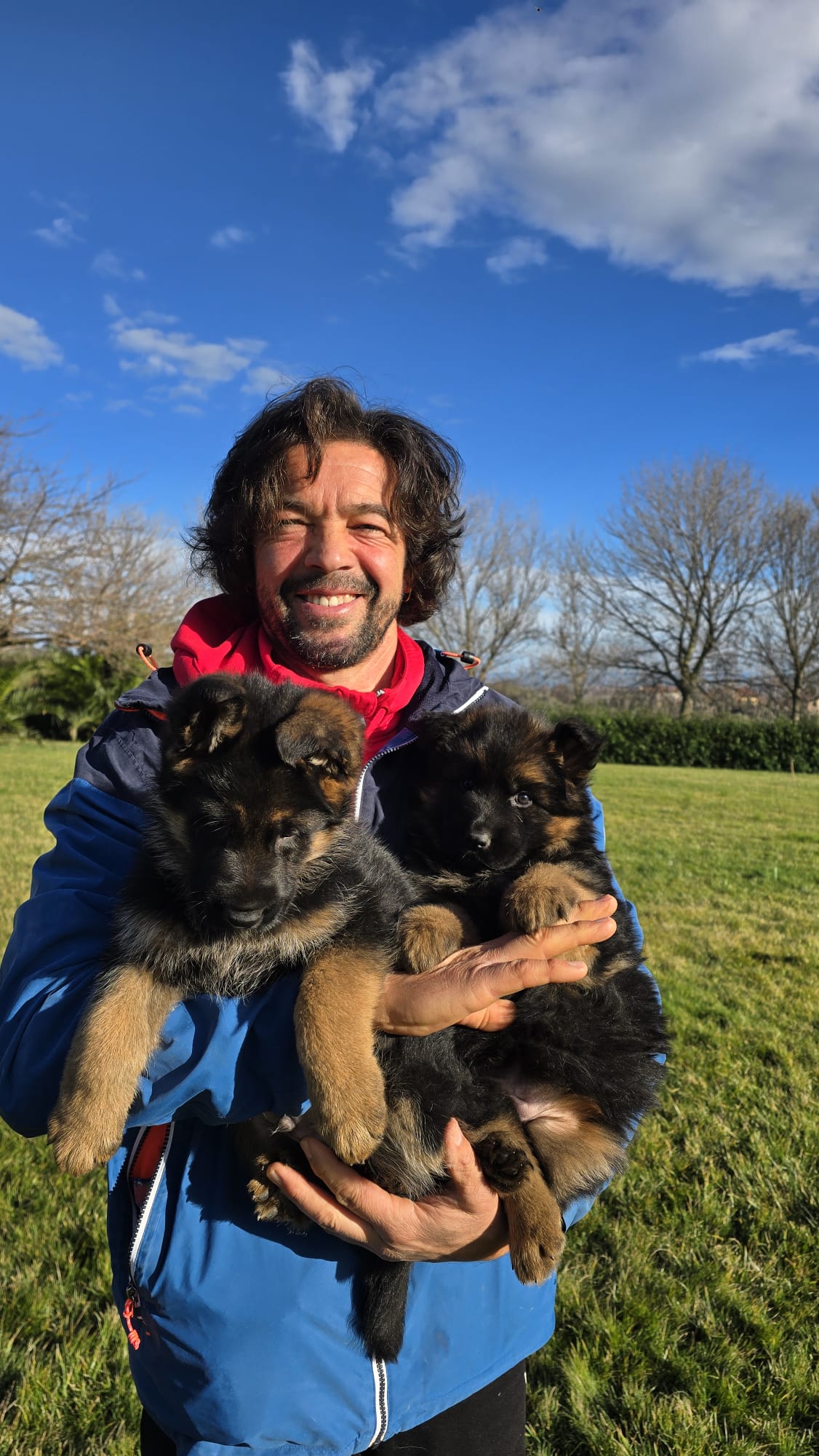 Nuova cucciolata pastore tedesco Allevamento Dei Lupi di Mare