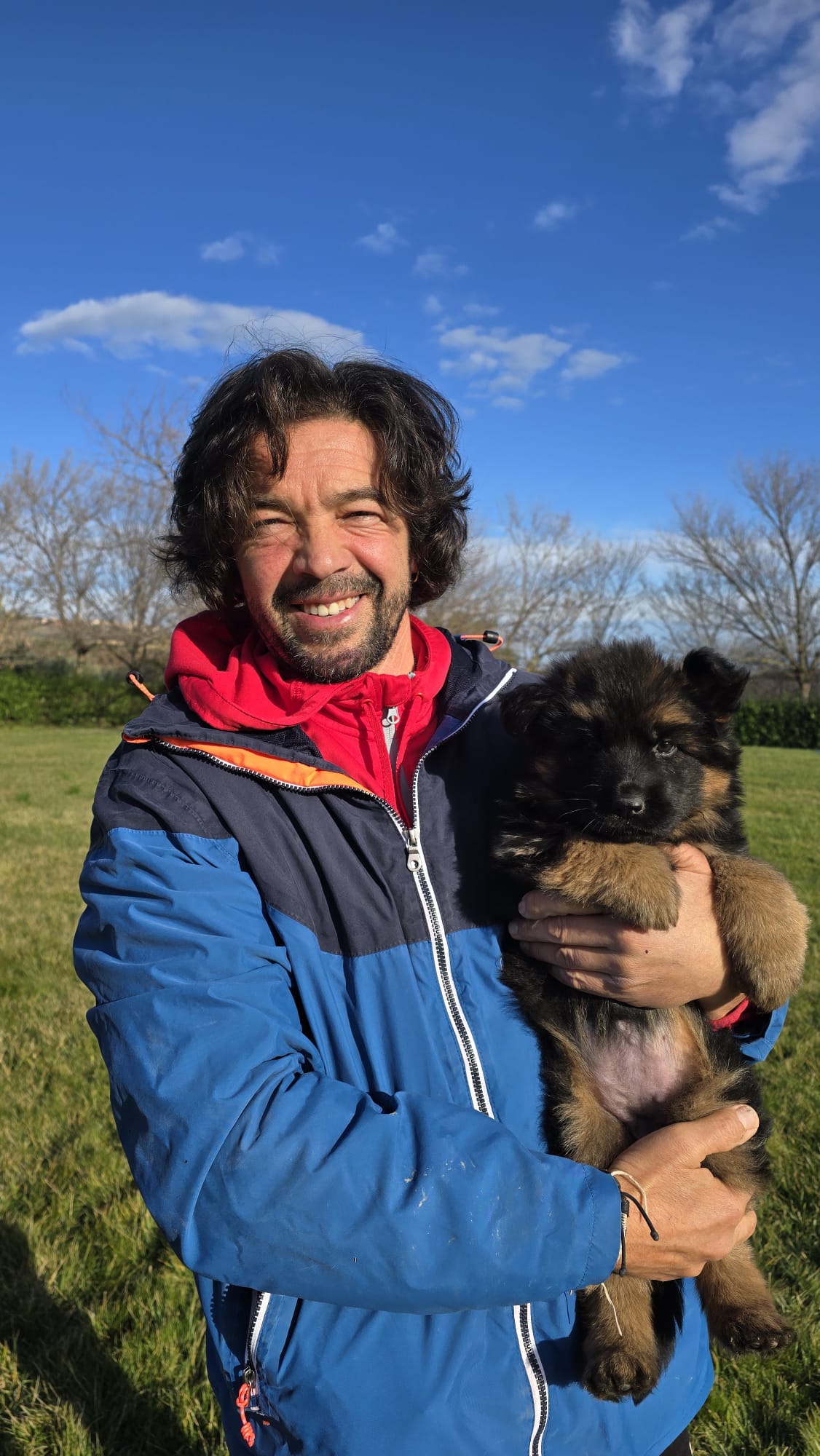 Nuova cucciolata pastore tedesco Allevamento Dei Lupi di Mare